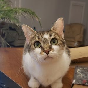 Meet your Posher, Meghan